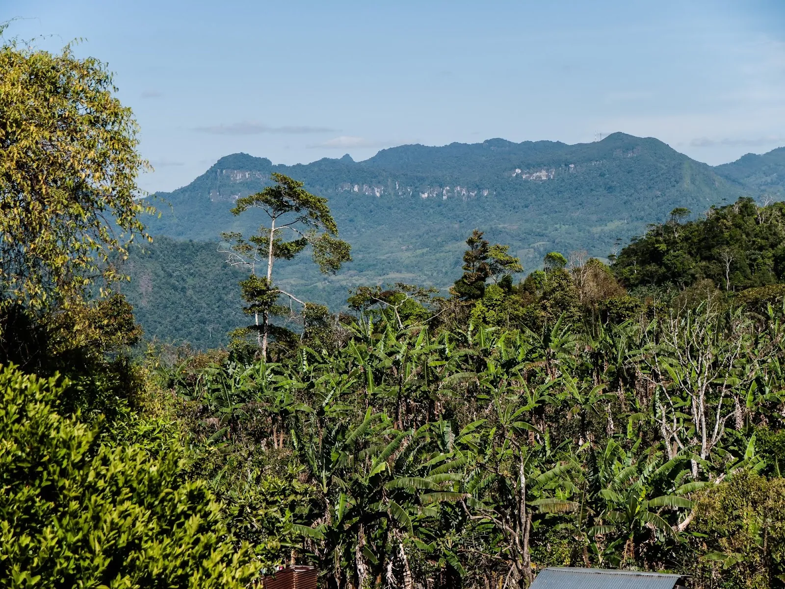 Vista de las montañas y los cultivos desde la finca